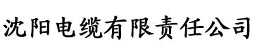 亚洲精品无码永久中文字幕电缆厂logo